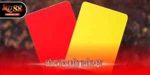 cách tính kèo thẻ phạt