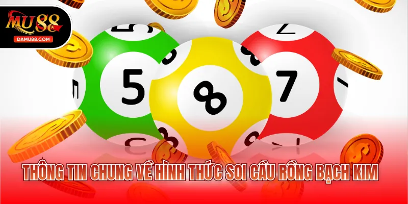 Thông tin chung về hình thức soi cầu rồng bạch kim