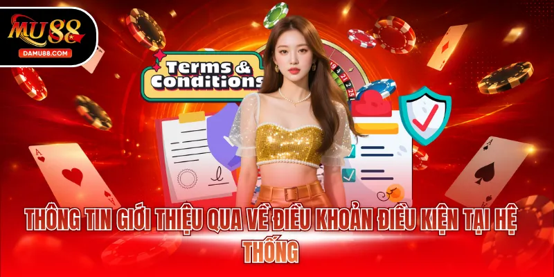 Thông tin giới thiệu qua về điều khoản điều kiện tại hệ thống